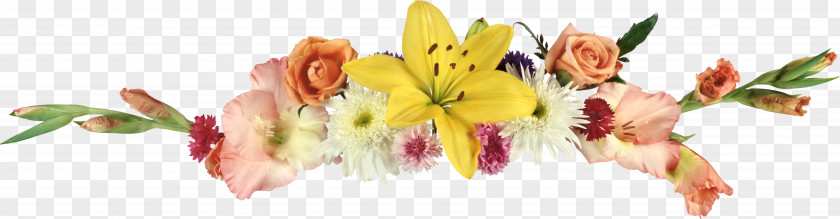Gladiolus Flower PNG