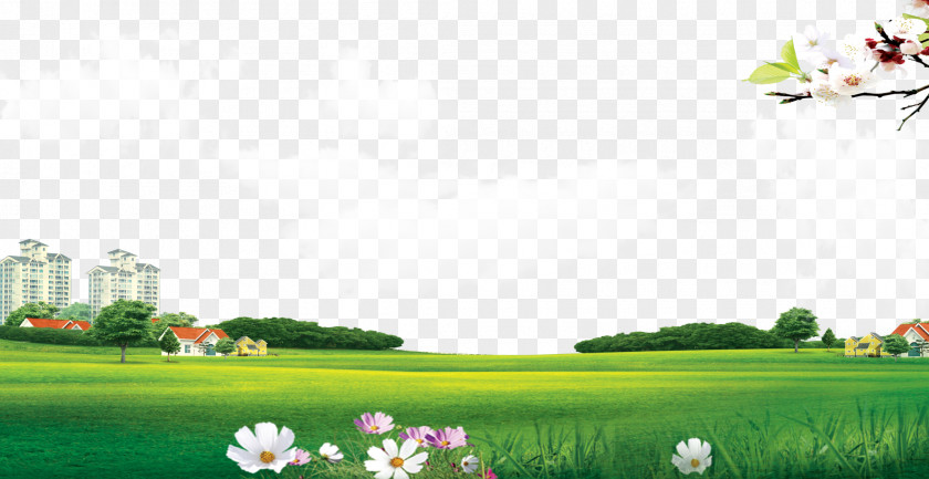 Grass Background Lawn Meadow Wallpaper PNG