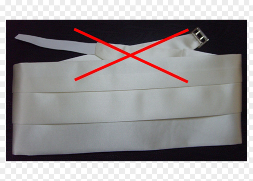 Hostes Cummerbund Tuxedo Bow Tie Belt Necktie PNG