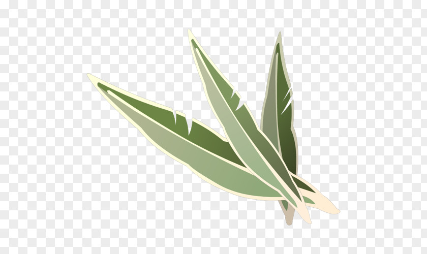 Margin Notes Leaf PNG