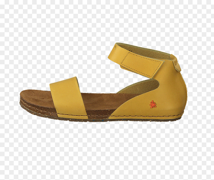 Sandal Slide Walking PNG