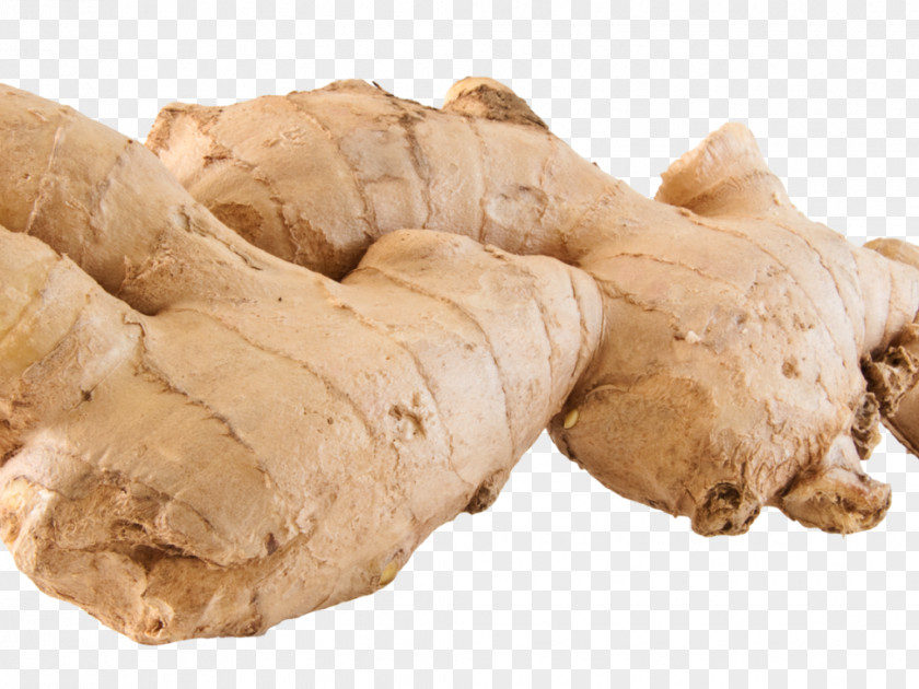 Caucasian Background Ginger Image Clip Art Transparency PNG