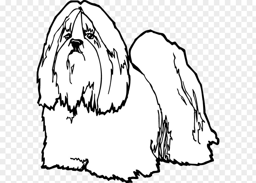 Lhasa Apso Shih Tzu Drawing Clip Art PNG