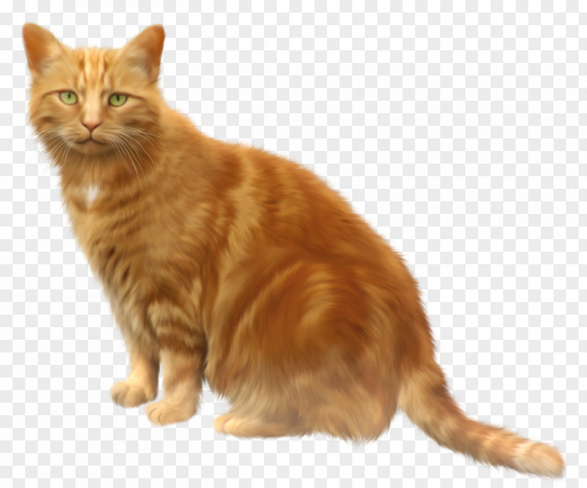 Orange Cat Transparent Clipart Riddle Android Application Package Game Download PNG