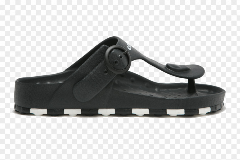 Sandal Shoe PNG