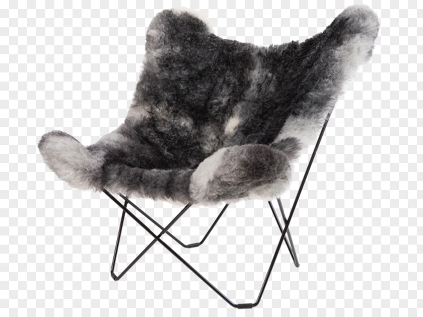 Chair Butterfly Egg Wing PNG