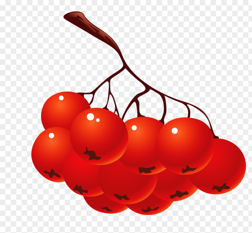 Cherry Autumn Clip Art PNG