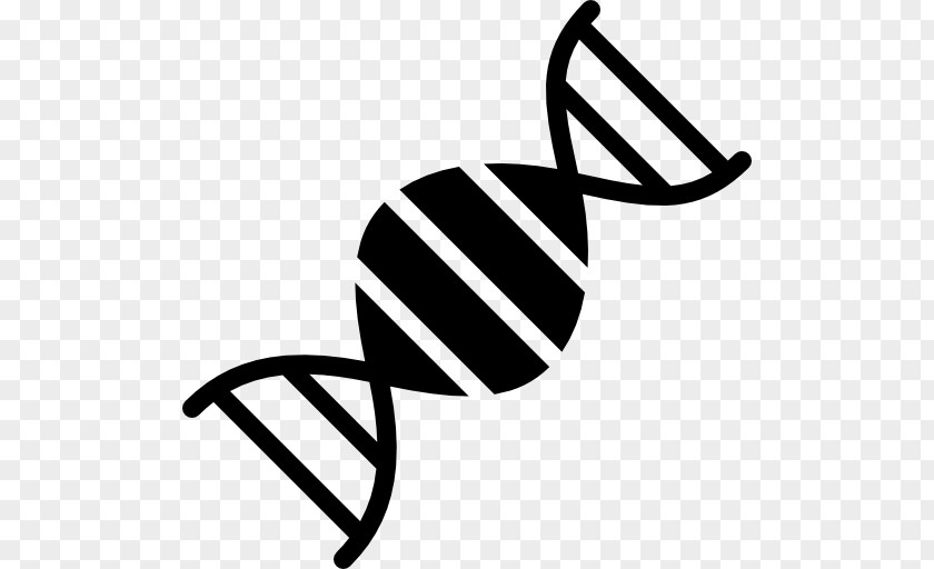 Dna Structure Human DNA Genetics Nucleic Acid Double Helix Biology PNG