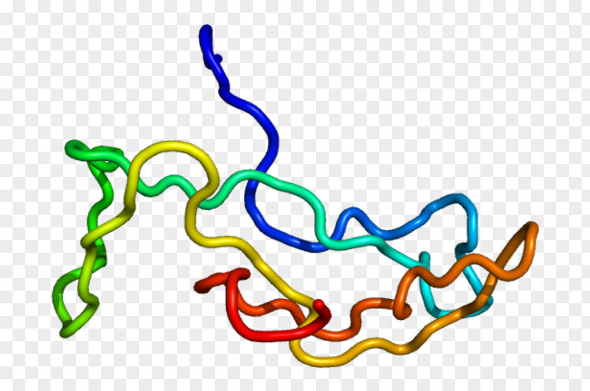 Glycoprotein Human Chorionic Gonadotropin Hormones, Alpha Polypeptide Follicle-stimulating Hormone PNG