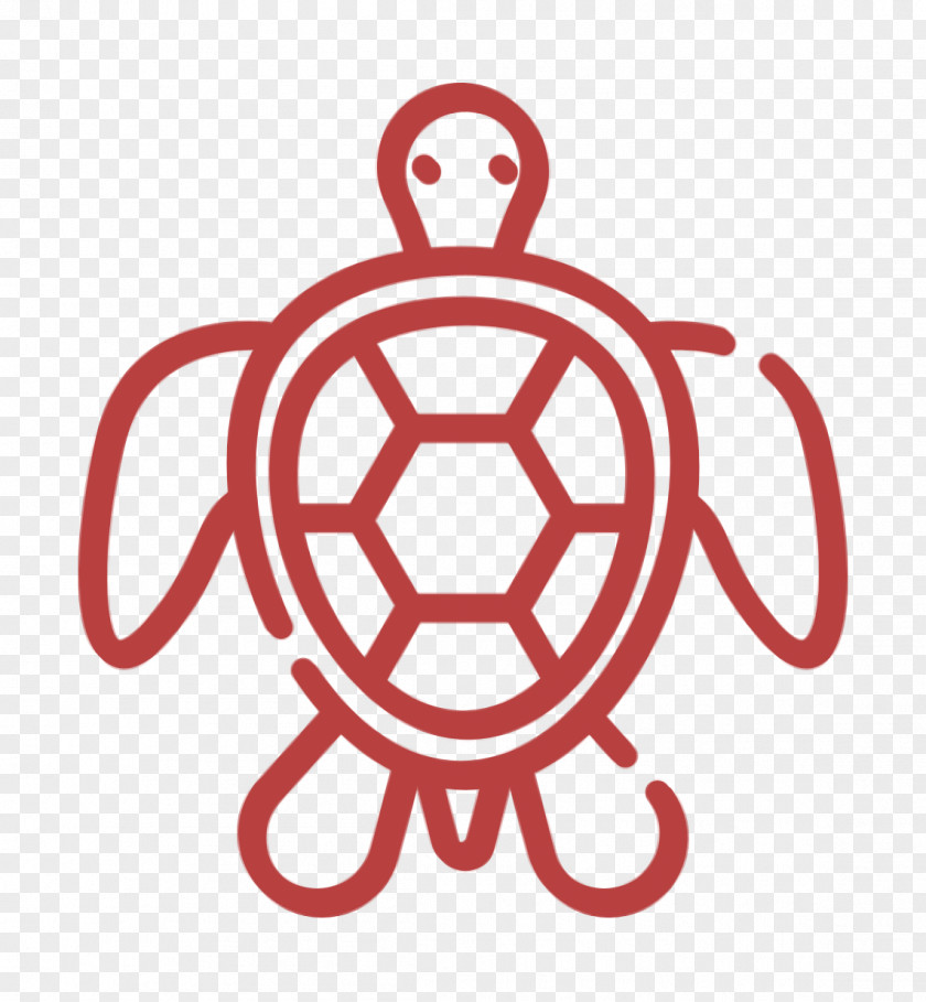 Animal Icon Thailand Turtle PNG