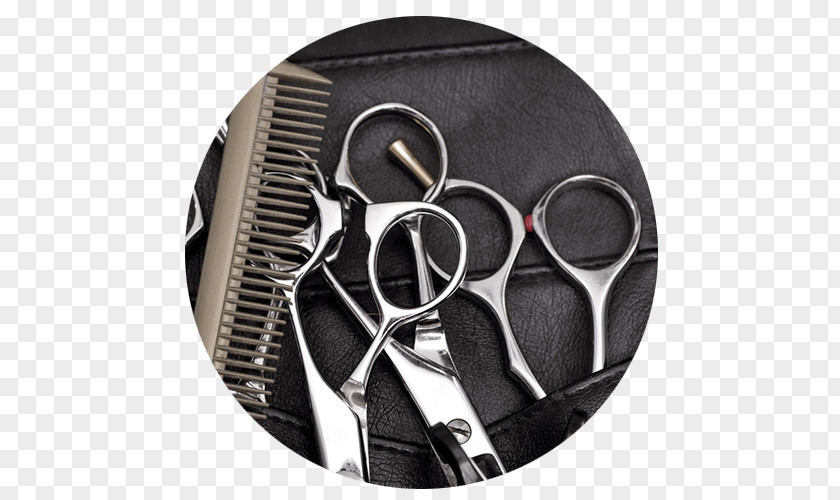 Beauty Parlor Parlour Cosmetologist Hairstyle Comb PNG