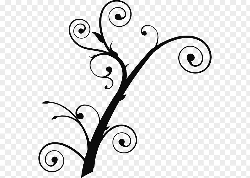 Curly Branch Tree Clip Art PNG