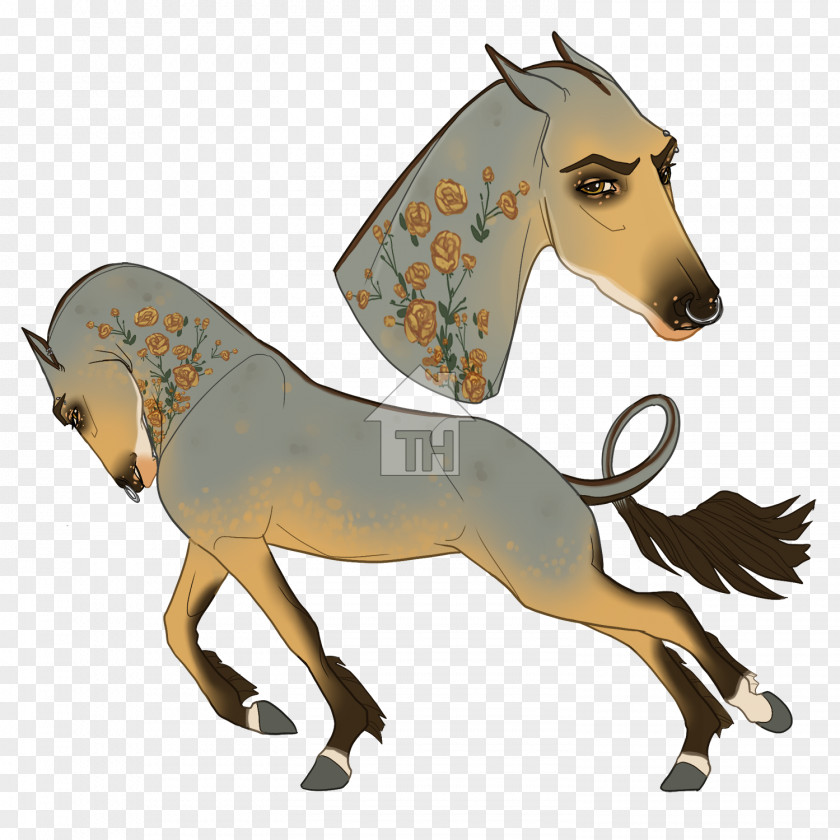 Mustang Foal Stallion Halter Rein PNG