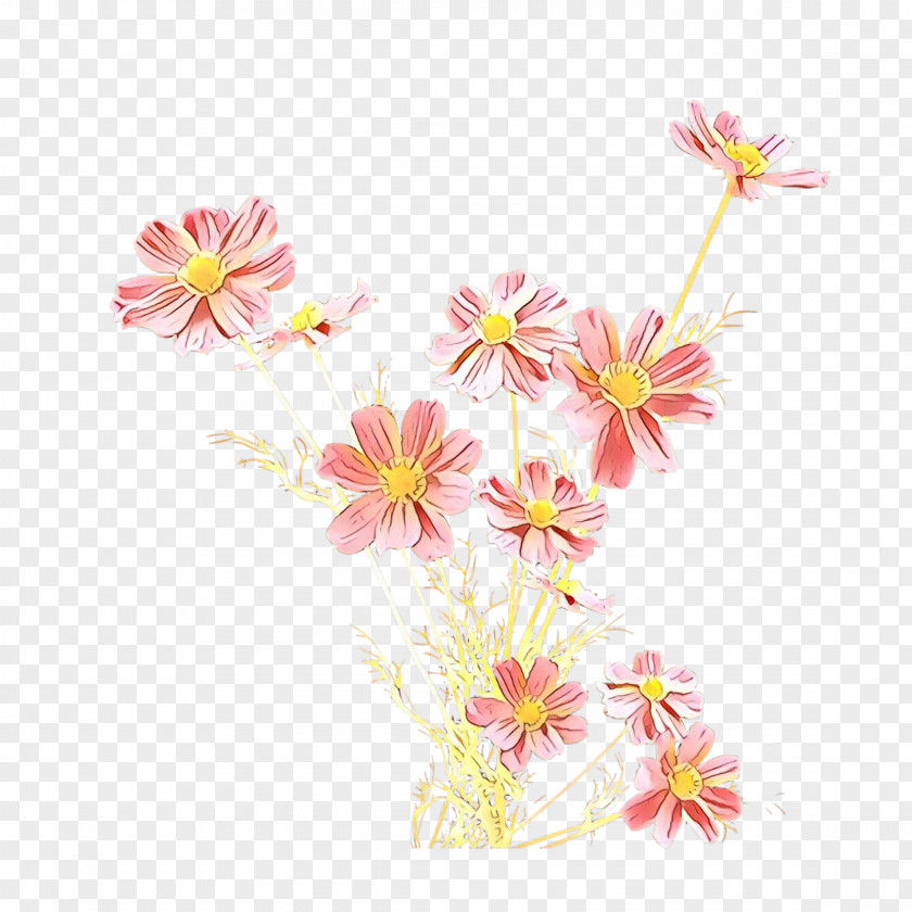 Perennial Plant Aster Flower Pink Petal Flowering PNG