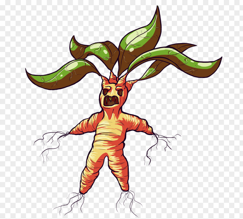 Plant Cartoon Library PNG