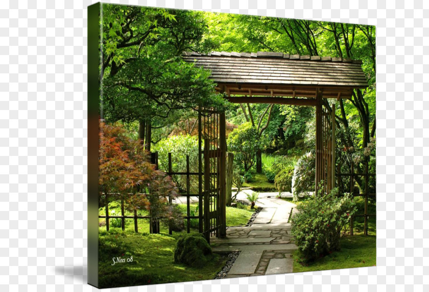 Tree Pergola Landscape Backyard Gazebo Japanese Garden PNG