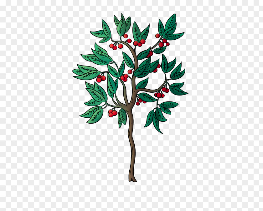 Surinam Cherry Tree Twig California Plant Stem Holly Plants PNG