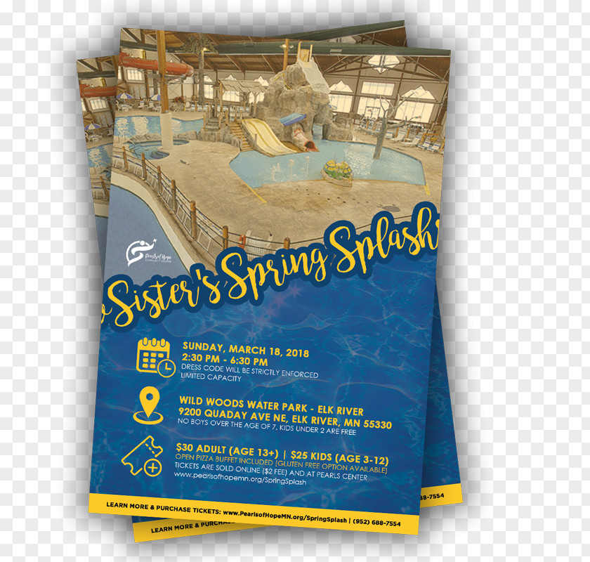 The Scholar's Four Jewels Advertising Water Park Life Skills Communication PNG