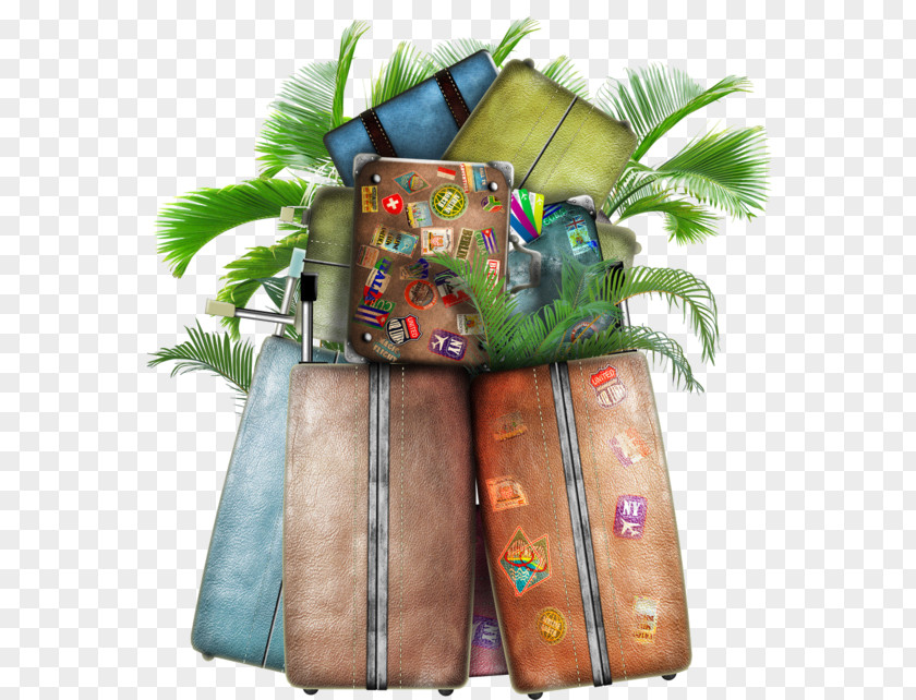 Travel Baggage Suitcase Hotel PNG