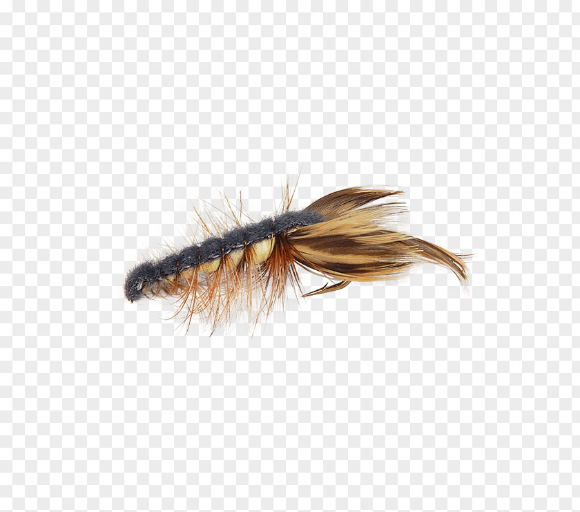 Crayfish Fly Fishing Bass Membrane Insect PNG