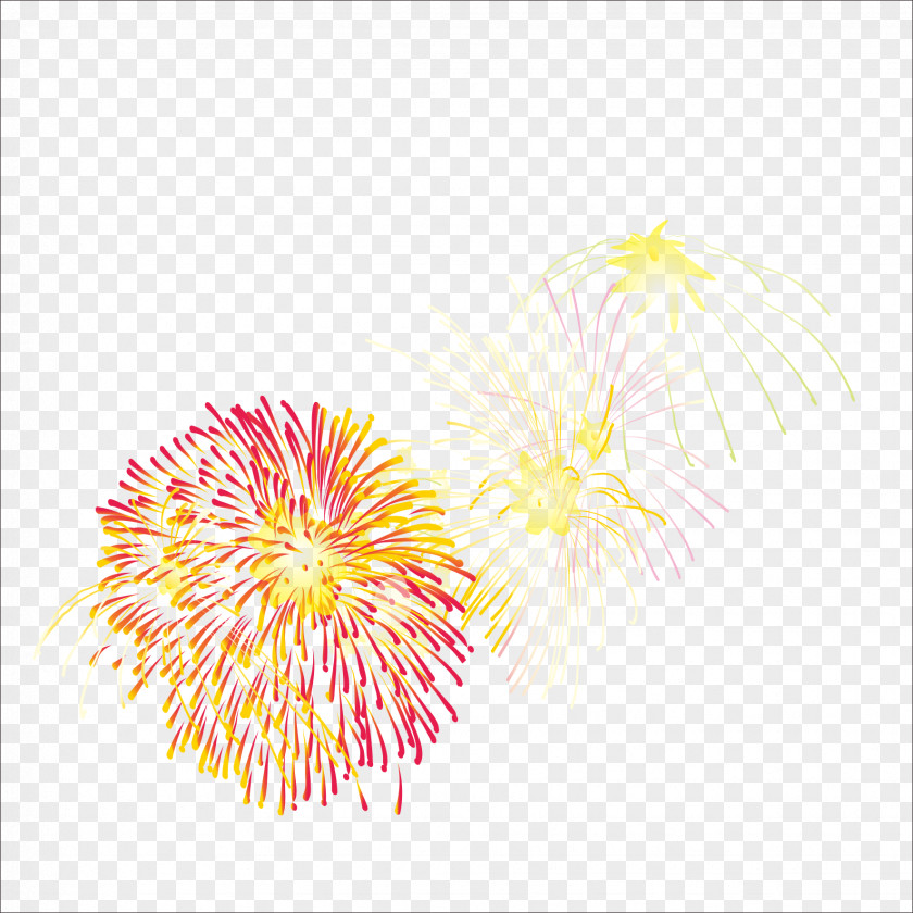 Fireworks Graphic Design Pyrotechnics PNG