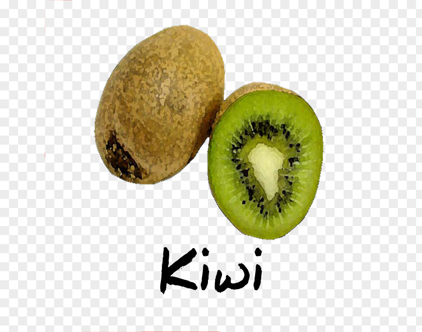 Kiwi Tree Kiwifruit Superfood Liwa Café PNG