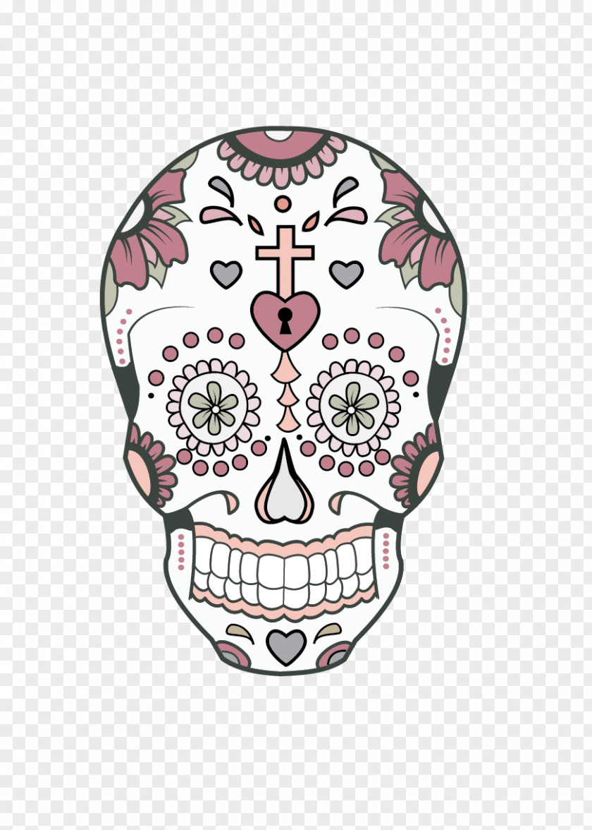 Skull Drawing /m/02csf PNG
