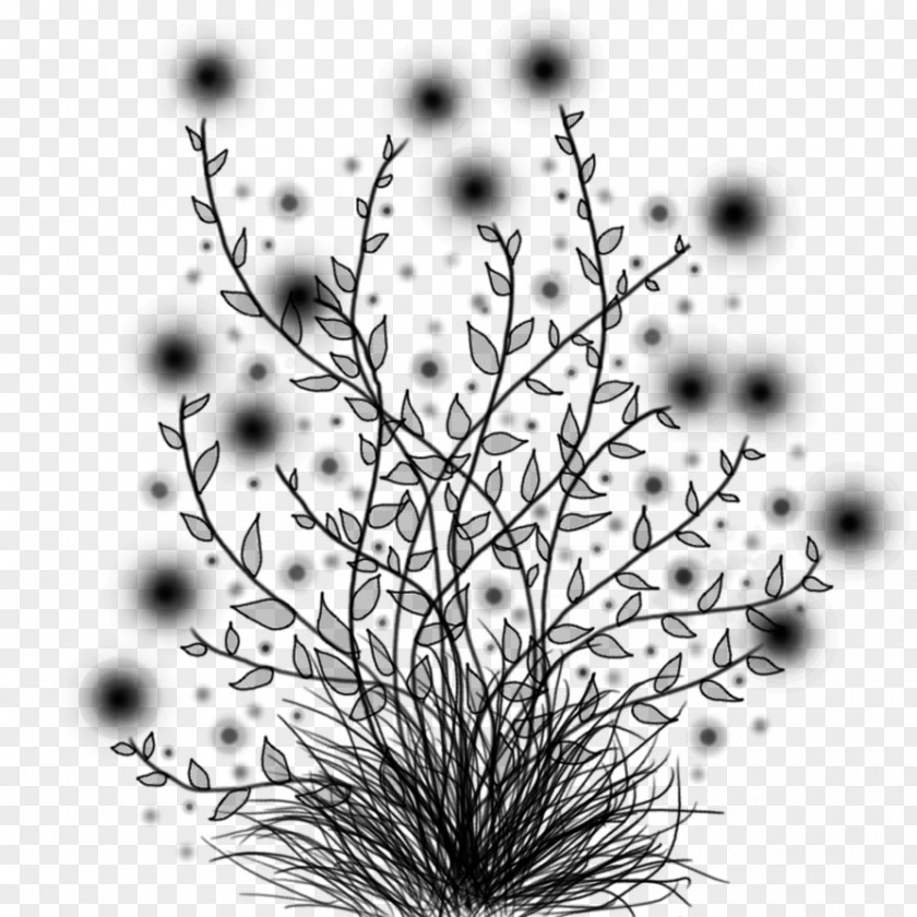 Twig Plant Stem Leaf Desktop Wallpaper Computer PNG