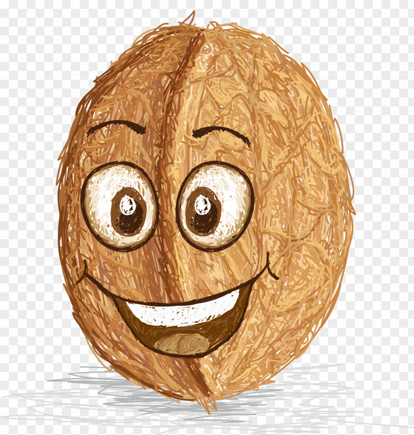 Walnut Cartoon Smiley Face FIG. Drawing Clip Art PNG