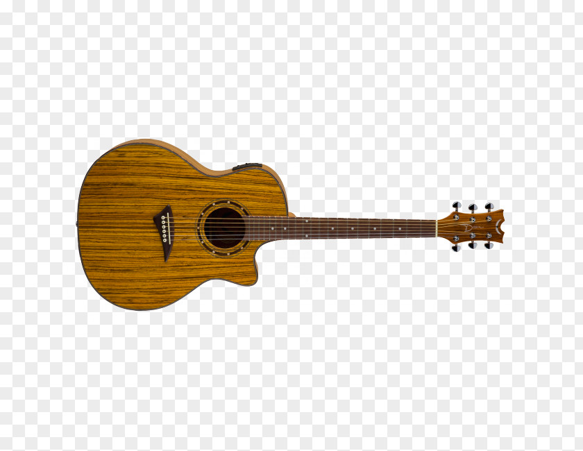 Zebra Wood Gibson Les Paul Custom Electric Guitar Epiphone Brands, Inc. PNG
