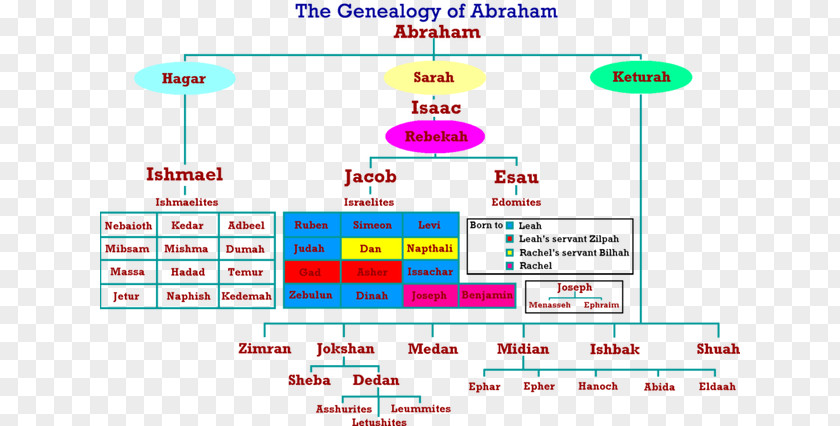 Abraham Bible Abraham's Family Tree Genealogy Descendants Diagram PNG