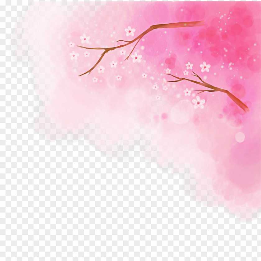 Cherry Blossom Branch PNG