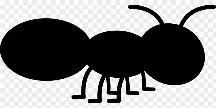 Clip Art Ant Free Content Insect Graphics PNG