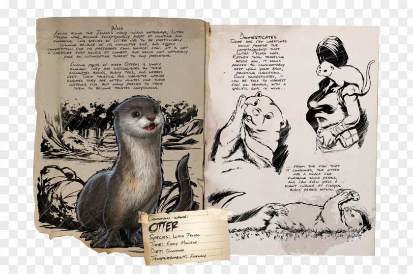 Otter ARK: Survival Evolved Lutra PlayStation 4 YouTube Tame Animal PNG