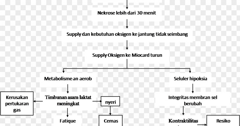 Pathway Paper Rectangle Document PNG