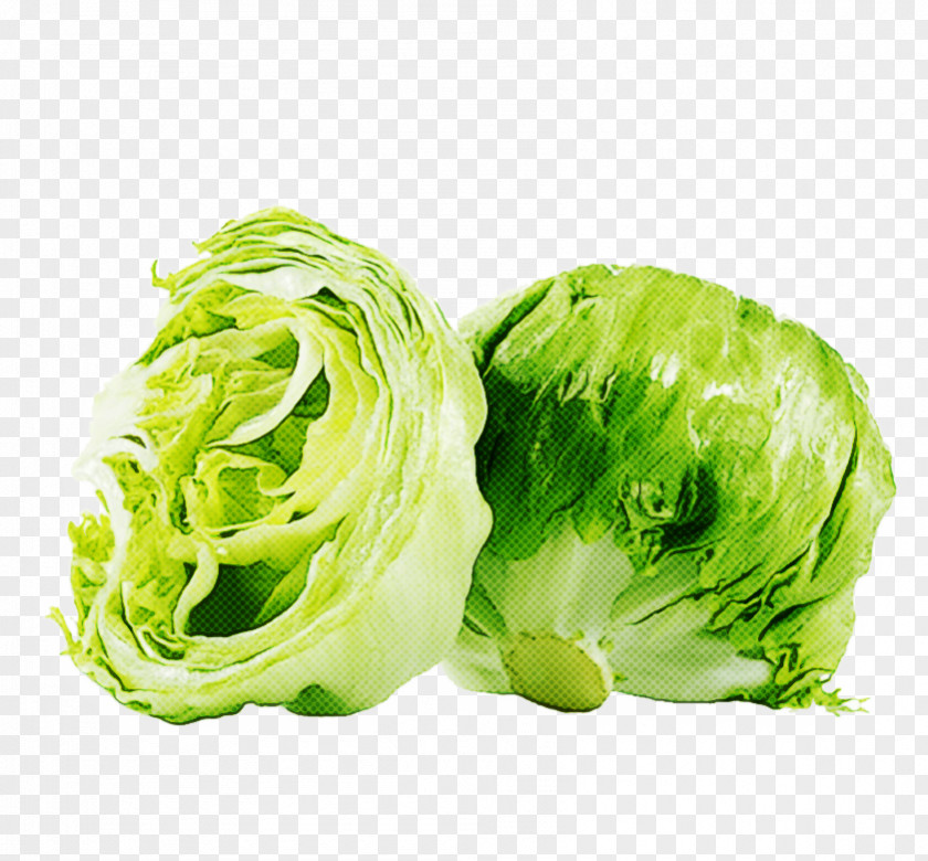 Vegetable Leaf Cabbage Iceburg Lettuce Food PNG