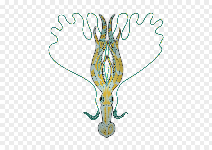 Calamari Cliparts Squid Clip Art PNG