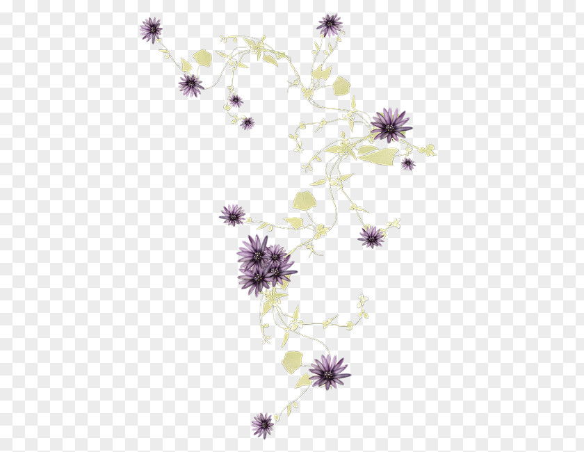 Computer Desktop Wallpaper Flowering Plant Stem PNG