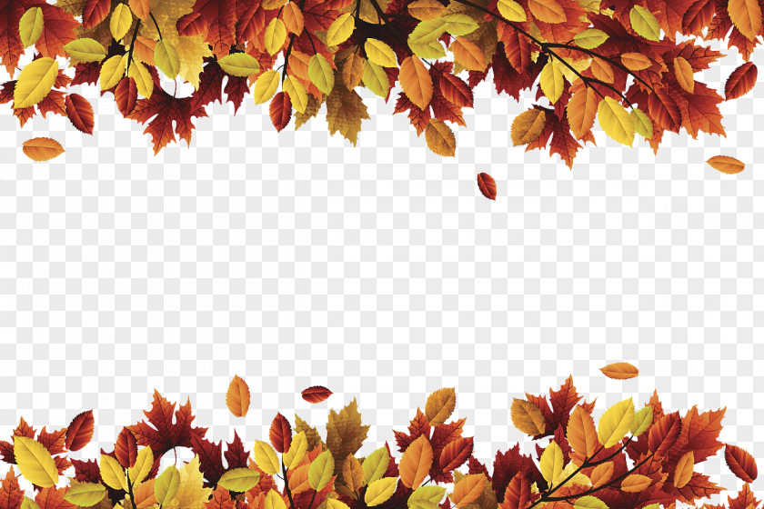 Header Footer PNG footer clipart PNG