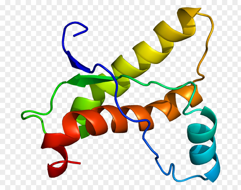 Protein PRNP Prion Folding Viroid PNG
