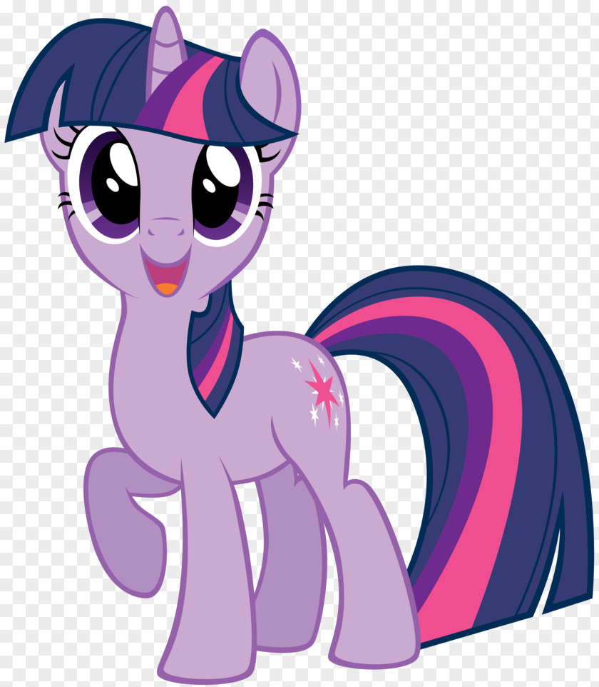 Twilight Sparkle Rarity Pony Rainbow Dash Pinkie Pie PNG