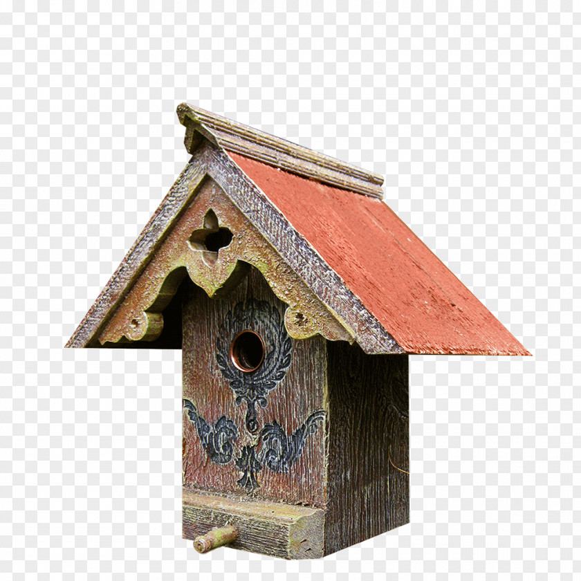 Barn Nest Box Bat Bird Feeders House PNG
