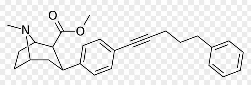 Carroll Phenyltropane Dopamine Transporter Norepinephrine Serotonin PNG