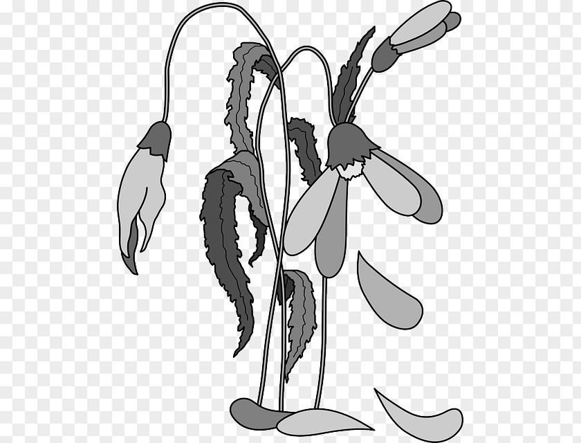 Dead Cartoon Death Plant Royalty-free Clip Art PNG