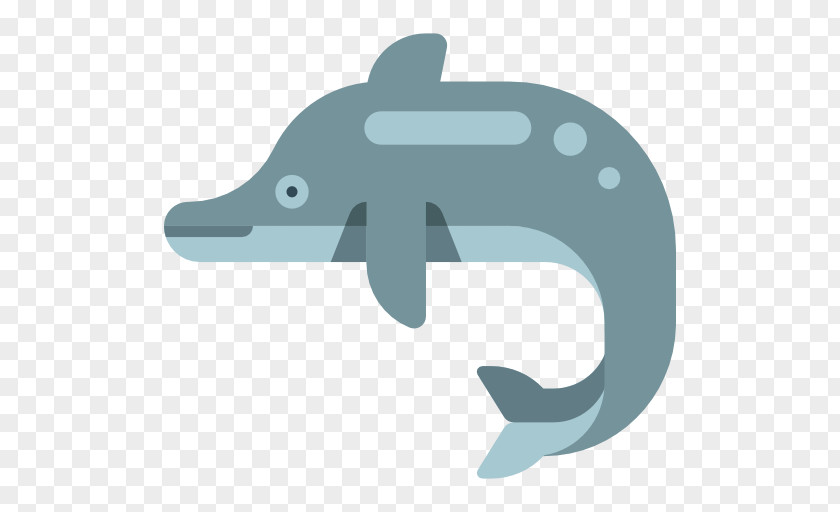 Dolphin Vector PNG