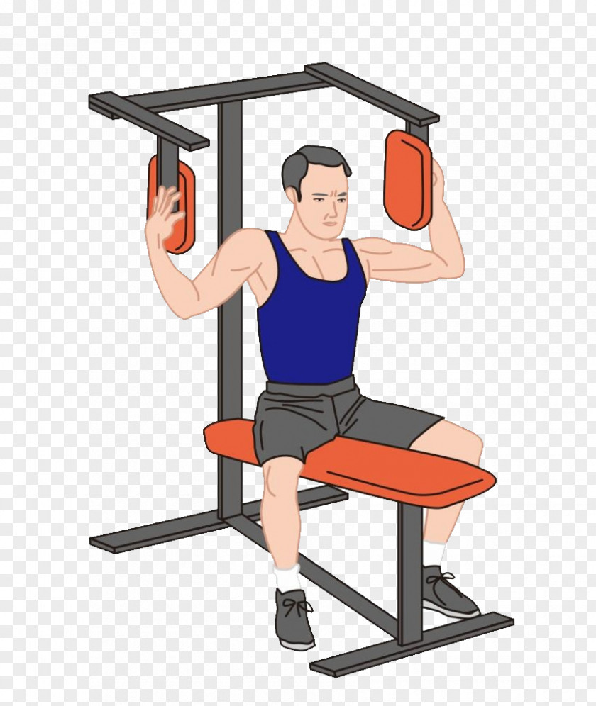 Fitness Weight Training Physical Muscle PNG