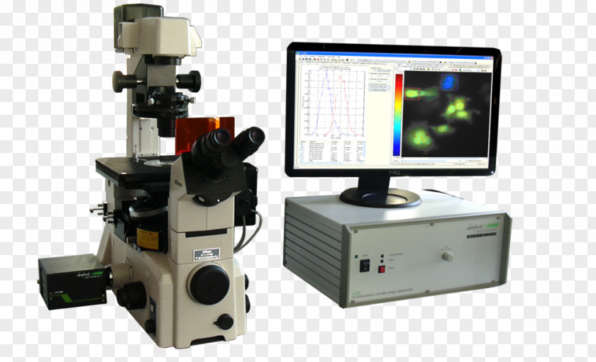 Microscope Fluorescence Carl Zeiss Microscopy Fluorescence-lifetime Imaging PNG