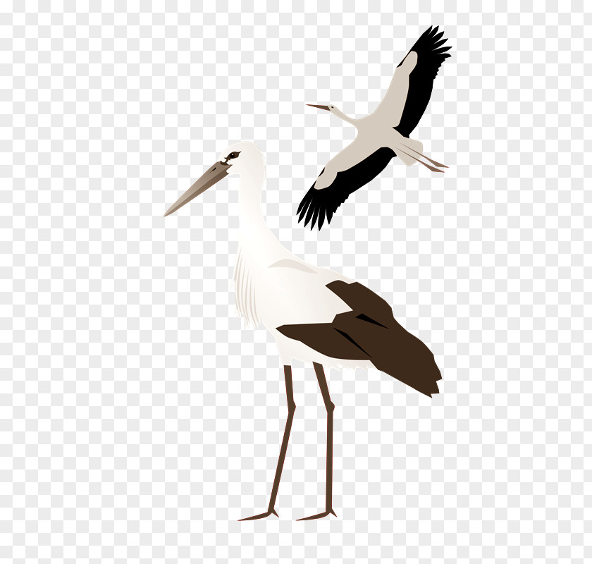 CIG White Stork Crane Clip Art PNG
