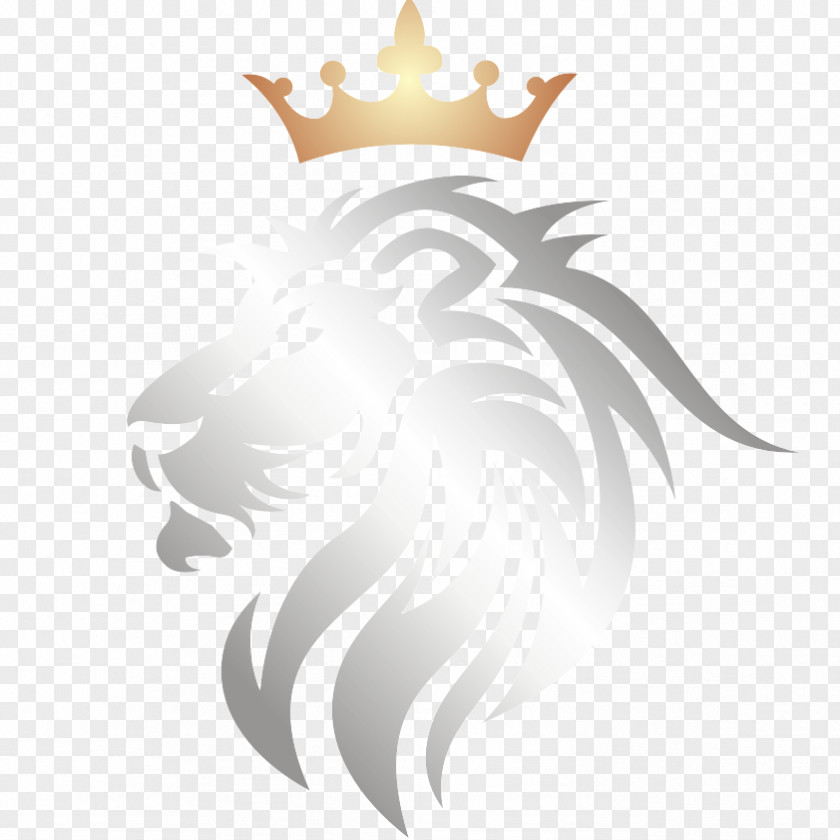 Lionhead Lion Cat Mammal Carnivora Animal PNG