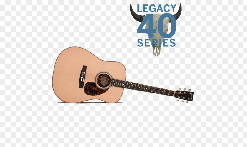 Acoustic Guitar Bass Acoustic-electric Tiple Cavaquinho PNG